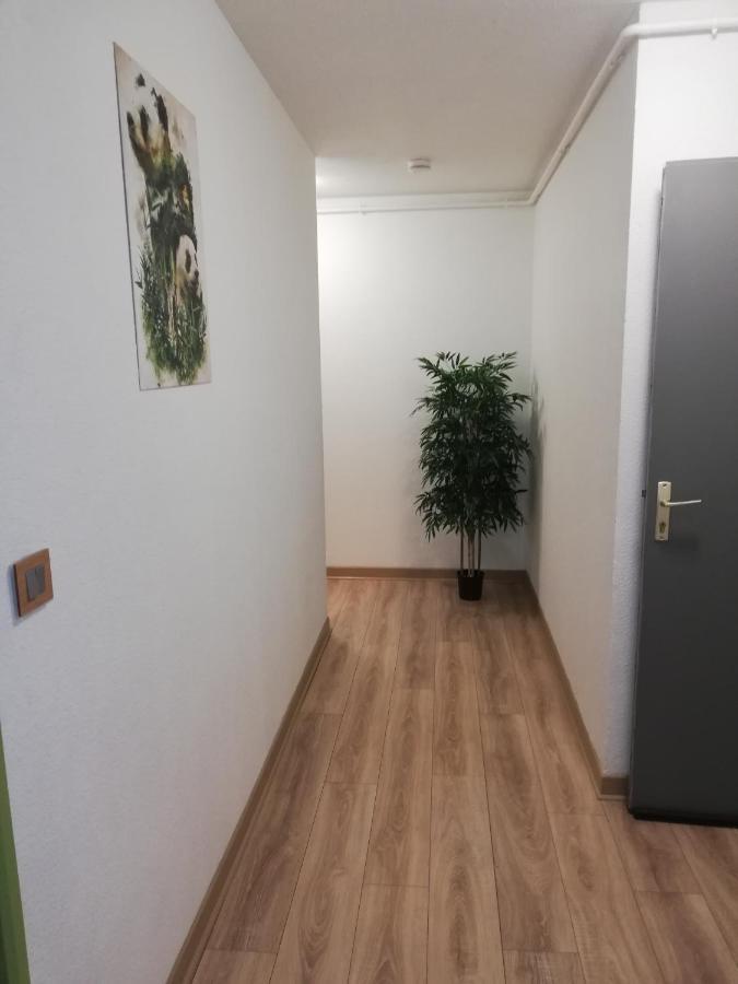 Grand T3 Avec Clim, Parking Et Terrasse Privative - Agen Apartment ภายนอก รูปภาพ